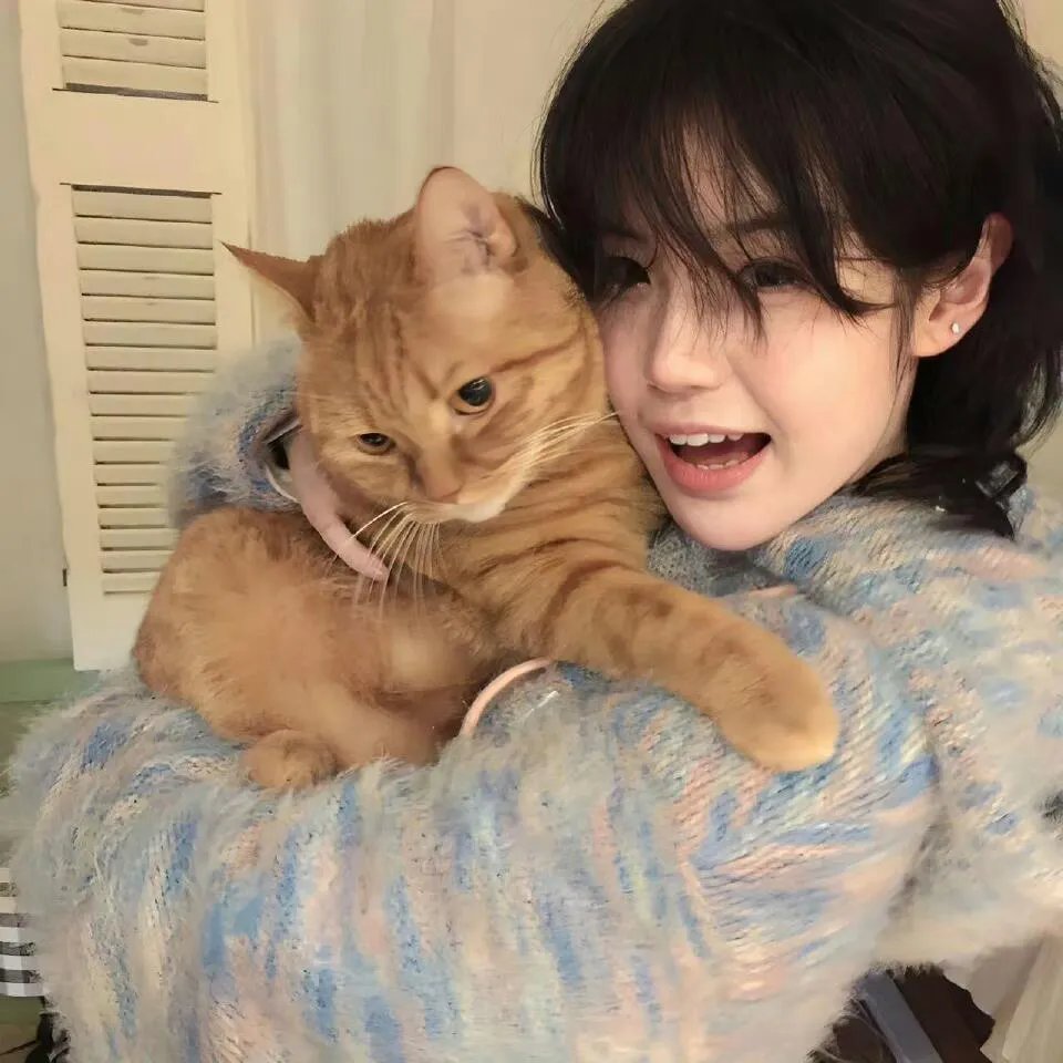 马勒，献给妻子的柔板 海报